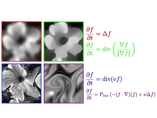 52K views · 692 reactions | Parabolic PDEs come with lots of flavors: heat, total variation, advection, Navier Stokes | Visual Math+ | Facebook