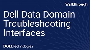 Troubleshooting Data Domain Network Interfaces
