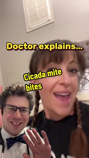 Cicada Mite Bites in the Chicago Area Explained by Allergist