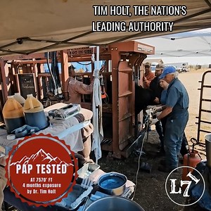 Why PAP Testing Matters — and Why Leadership Matters Even More At Lucky 7 Angus, we’re proud to be the #1 High-Elevation PAP Testing program in the industry. But PAP testing isn’t a buzzword or a badge — it’s a lifesaving, profit-protecting tool, especially for cattle expected to perform at elevation (and DOMINATE ANYWHERE lower than 7600ft). PAP (Pulmonary Arterial Pressure) testing identifies cattle that can handle reduced oxygen levels at high altitude. Cattle that don’t adapt are at higher r