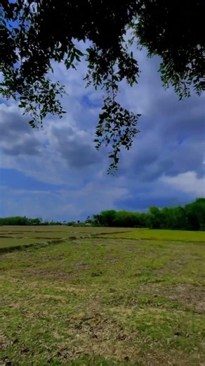 “Peace looks like this 💚”#shorts #ytshorts #viral #trend #fyp #explore #reels #video #love #india