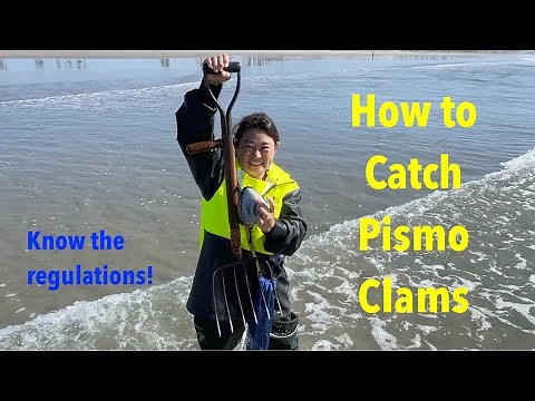 How to Catch Pismo Clams | Clamming Regulations | Game Wardens Inspect Clams
