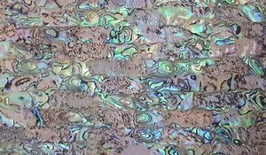Abalone Shell AB Adhesive Veneer Sheet (mother of Pearl Shell) 9.5 X 5.5 Inches -A15 - Etsy