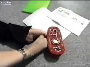 Sandra Waese - DAE short legs