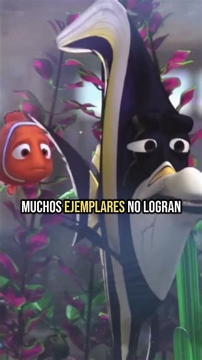 Did you know this about Finding Nemo...? 🐟😳 │ ByCrisZ Cine
