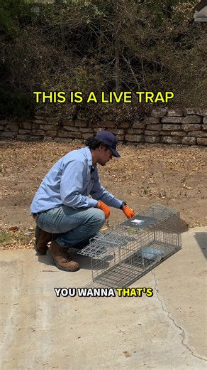The goal isn’t just to catch something—it’s to solve the problem correctly. That means identifying entry points, understanding behavior patterns, and using the right trapping method so pests don’t return. Effective pest control is strategic, not one-size-fits-all. Seeing signs of rodent or wildlife activity? Book an inspection so we can choose the right solution for your home.