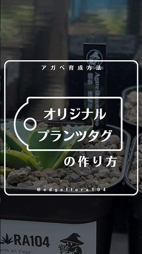 オリジナルプランツタグの作り方 #アガベ #プランツタグ #テプラ