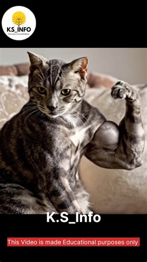 The Gene That Makes Animals Super Muscular