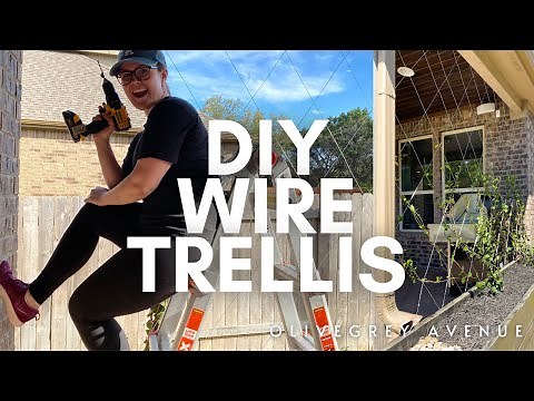 MAKE AN EASY DIY WIRE TRELLIS FOR CHEAP!