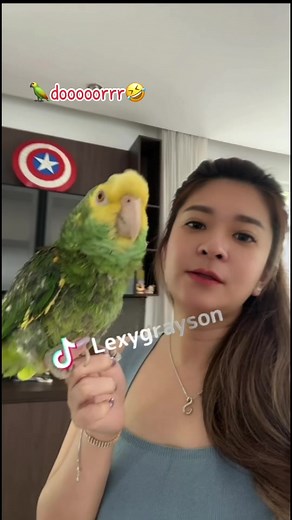 Parrot Talking Compilation - Lexy Grayson's Cute Moments