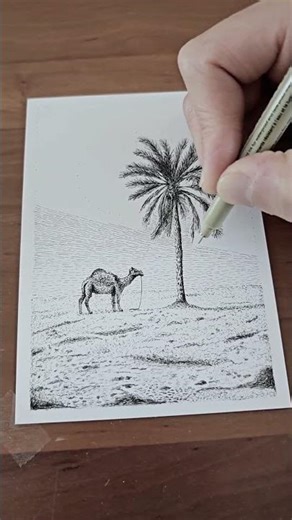 Fineliner Drawing A Camel In The Desert #fineliner #finelinerdrawing #urbansketch #inkdrawing