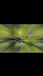 Another setup we have for target shooting and predator hunting utilizing our Vortex Scope and Tripod! 😏👏🏼 #vortexoptics #vortexnation #predatorhunting #targetshooting #usocadventurestv | USOC Adventures TV