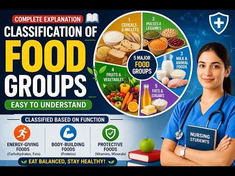 Classification of Food Groups made easy || Easy explanation of food groups