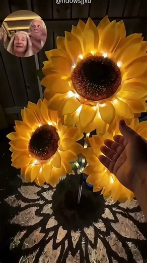 Solar lights that don't look cheap #solarlights #gardenaesthetic #outdoordecor