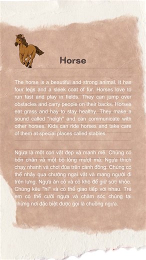 English Reading For Beginners: Learn About Horses