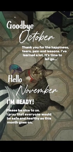 Hello november,, goodmorning | Geniveb Mandaguio Cani | Facebook