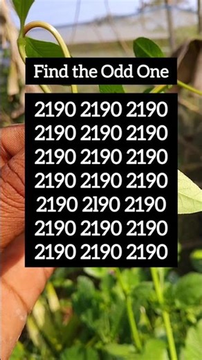 Find the Odd One | Visual Logic Challenge | Ep.2640