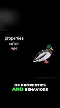 Master Programming: Divide & Conquer, OOP Secrets! #shorts