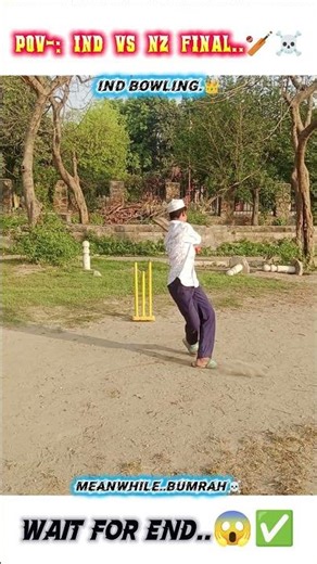 POV: IND vs NZ Final 😱 #shorts #cricketshorts