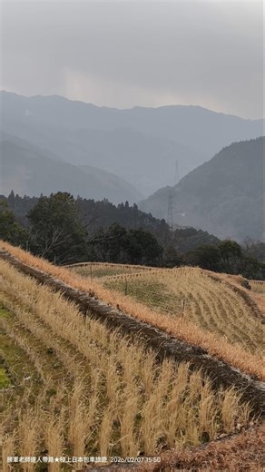 20260207 往東2小時車程又回到宮崎縣，考察「日本三大秘境」尚未去過的「椎葉村」，首先到「#下松尾仙人の棚田」，但看不到什麼絶景，只好前往「#椎葉村大いちょう展望台」