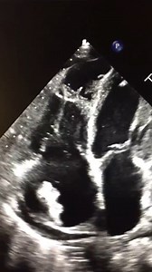 115K views · 271 reactions | What's your diagnosis? Only wrong answers please , if possible, in Mario terms | Dr.Weird | Facebook