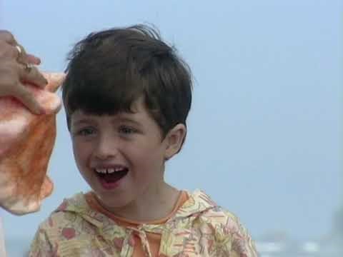 Wee Sing Under The Sea | 60 fps