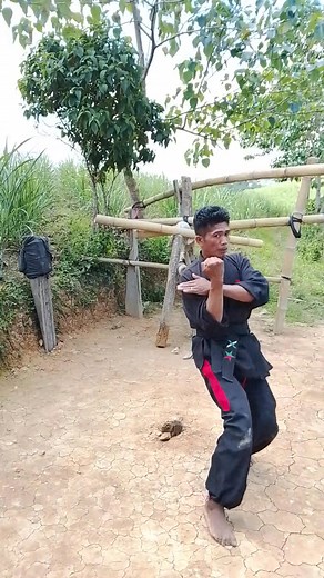 Kata Kung Fu Demo. training 🥋💪. #followersreelsfypシ゚viralシfypシ゚viralシalシfollowers #highlightseveryonefollowers2025 #fblifestyle #fbreelsfypシ゚viralfbreelsfypシ゚viral #martialartstraining #contentcreator | Nick Polenda