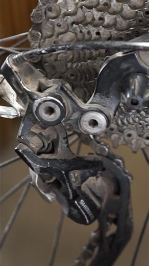 Umschlingungswinkel einstellen am Schaltwerk #mtb #fahrrad