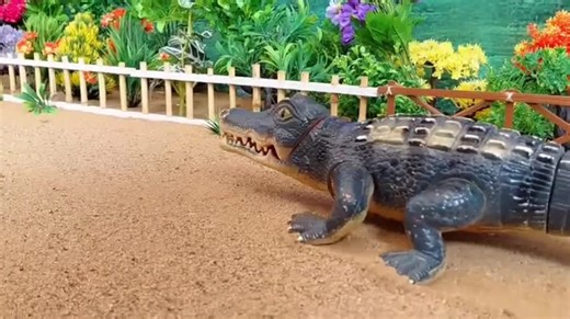 Enjoy the Cutest Cow Videos Featuring Sapi