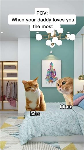 Cat Memes 😺When your daddy loves you the most 💕❤️ #catmemes #relatable #relationship