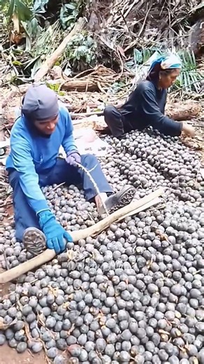 How Master Farmers Harvest Crops Easily 👨‍🌾