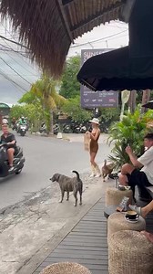 211K views · 1.2K reactions | When only fans isn't working for you so it's back to hustling on street corners 臘‍♂️臘‍♂️ | Bali Legals | Facebook
