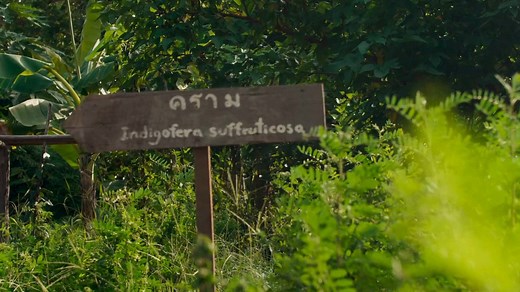 Luxury Phuket Resort | 5-Star Hotel Phuket | Rosewood Phuket