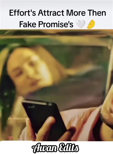 Efforts Attract More Than Fake Promises – Short POV Quote