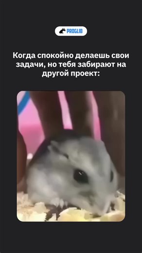 Айти-мемы / Понравилось видео? Поставь лайк и не забудь подписаться :) #войтивайти #программирование #разработка #программист #айти разработчик обучениепрограммированию python java linux айтишник programming coding javascript developer webdevelopment код it мемыайти удаленка software мем мемы | Библиотека программиста