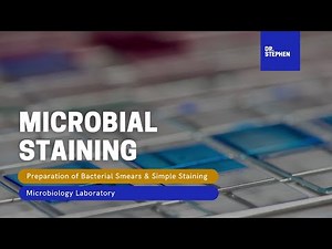 MICROBIOLOGY 🧫 | Bacterial Staining (Smear Preparation & Simple Staining)