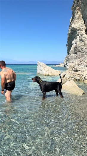 Dobermann a mare in Calabria: vacanza con il cane