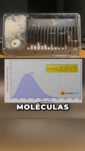 El Calor No Es Lo Que Crees