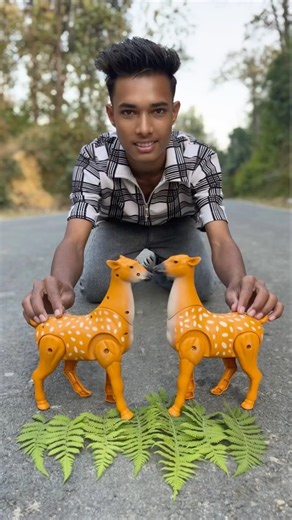 Remote control Battery operated 2 ta Deer Animals Unboxing 😍