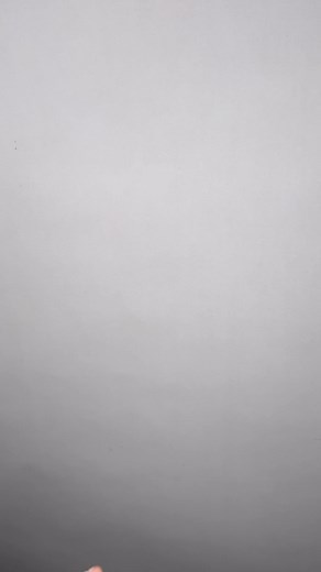 #pythons #scales #ballpythonofinstagram #ballpython #reptiles #snakeofinstagram #Hetflix #ballpythonbreeder #thailand | Sexy Ball Python