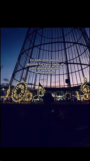 Reflections on Growth: A Year of Learning