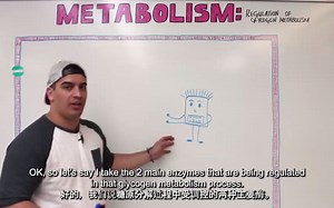 [自制熟肉] [Ninja Nerd] 糖原代谢调控 Regulation of Glycogen Metabolism