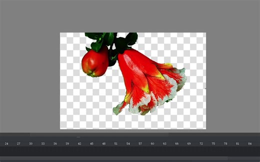 krita入门_选区抠图羽化