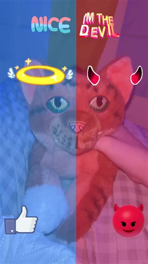 Squirrel Flight: A Hilarious Satire on Fear