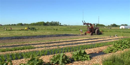 Working Iowa: Apprentices get farm experience with Grow Johnson County