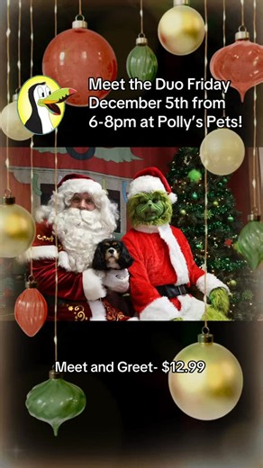 🎄✨ Meet the Christmas Duo at Polly’s Pet Shop! ✨🎄 The Duo is back and ready for photos, festive fun, and holiday memories you won’t forget! 🎅💚🎁 📸 Bring your family (fur babies included!) and join us on: • December 5th — Friday, 6pm–8pm • December 13th — Saturday, 5pm–7pm • December 17th — Wednesday, 6pm–8pm Come snap a picture, enjoy the holiday cheer, and make the season extra magical. We can’t wait to celebrate with you! 🐾🎄💚❤️ | Pollys Pets
