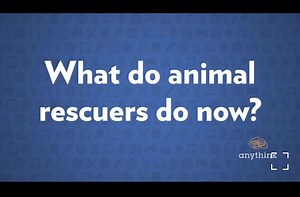 2.9K views · 67 reactions | Anythink libraries invites Longhopes Donkey Shelter Executive Director, Victoria Schroeder, to discuss what animal rescues do now, what you can do to help, and how to get involved. ❤️ | Longhopes Donkey Shelter | Facebook