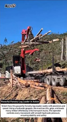Powerful Forestry Log Loader in Action | Heavy Timber Handling Machine