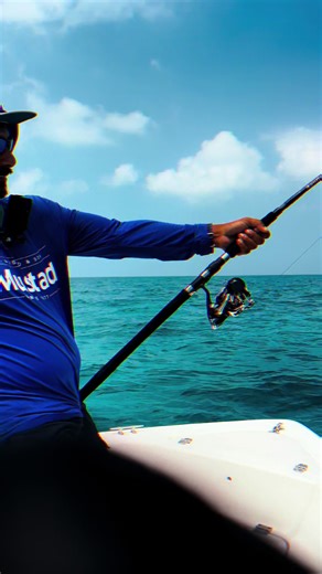 Catch the Big Fish with the Right Sounds