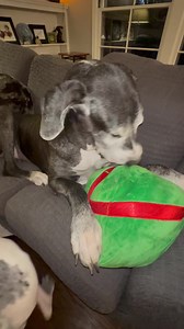 15K views · 1.6K reactions | Radar is on a rampage since Margo left...